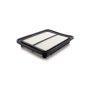 Filtro de aire COAP-X000