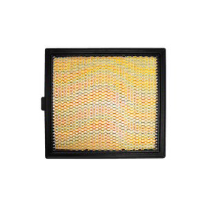 Filtro de aire COAP-2266