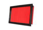 COAP-10234