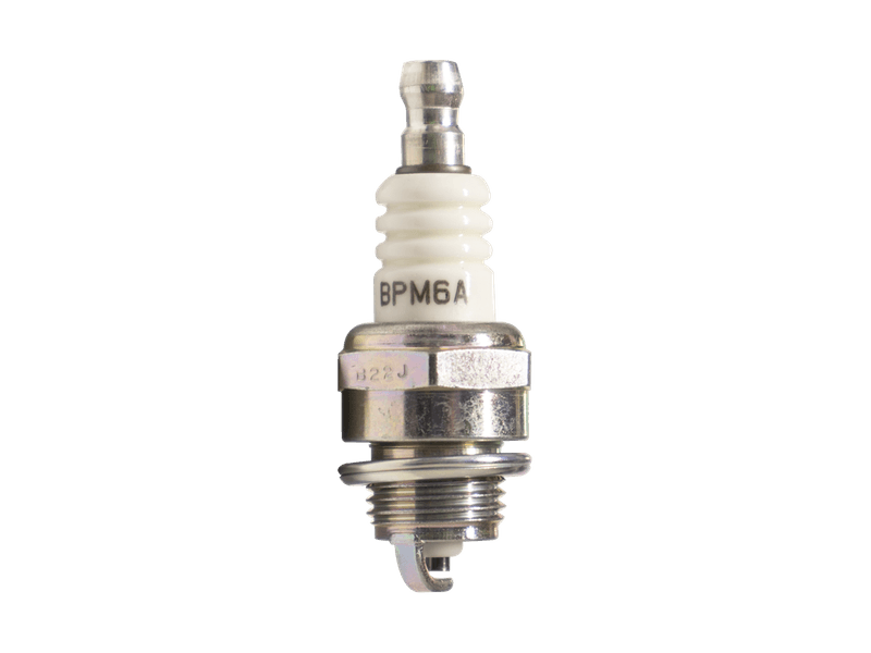BPM6A