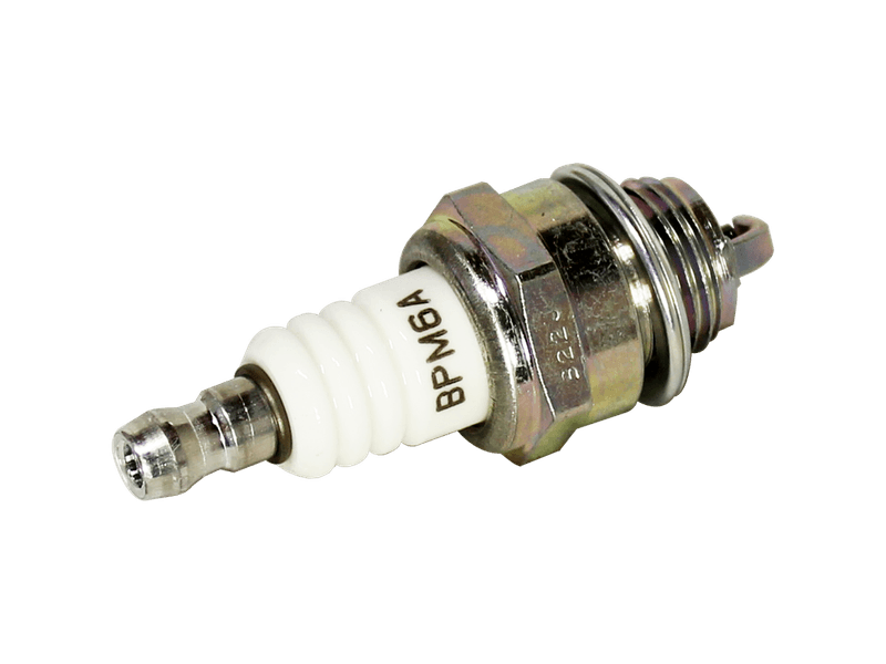 BPM6A