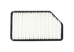 COAP-1R100