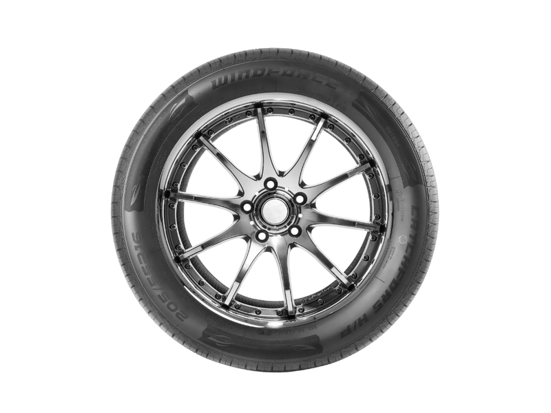 Catchfors