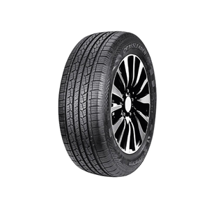 Llanta 235/60R17 4PR DS01 Doublestar